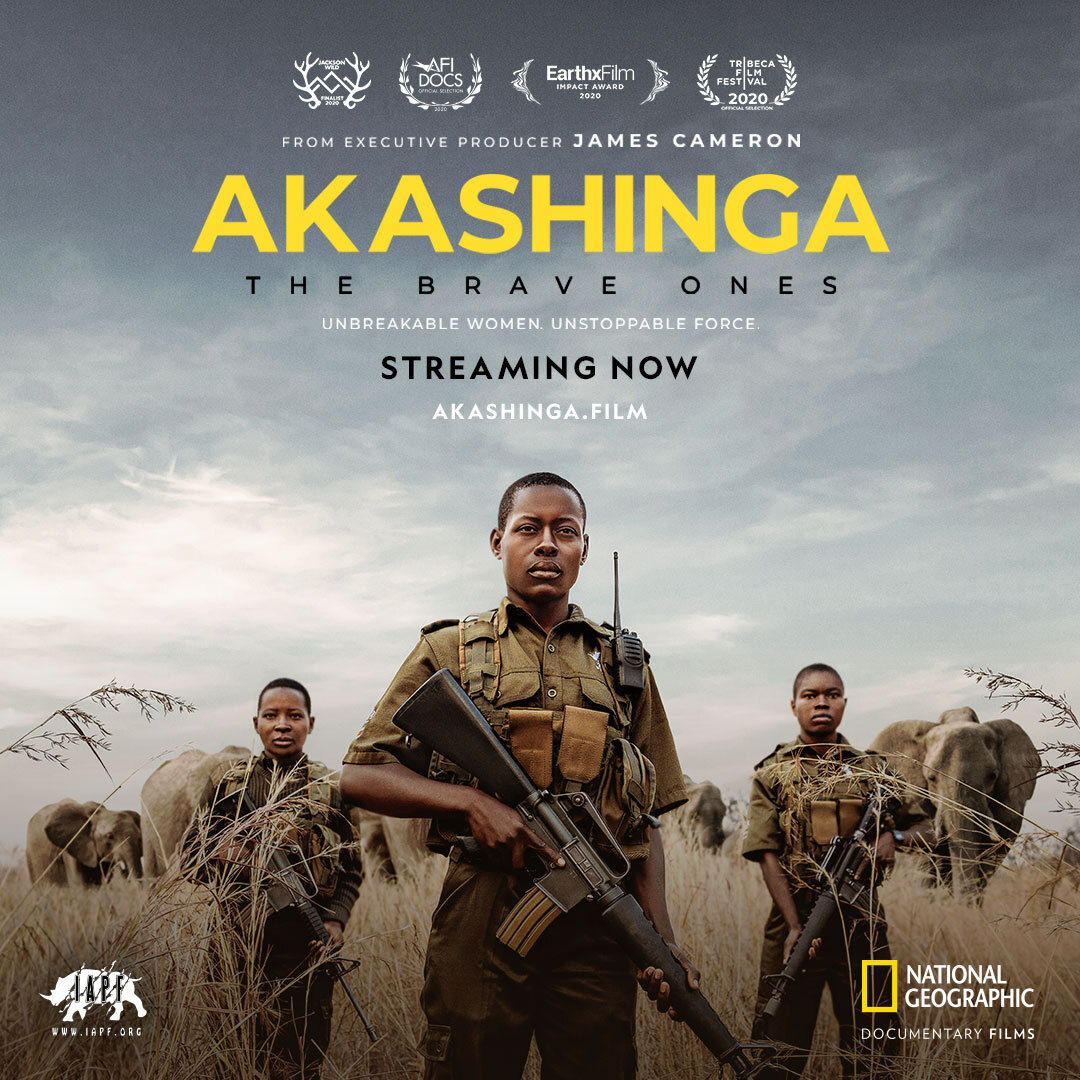 Omslag på dokumentärfilmen Akashinga-The Brave Ones