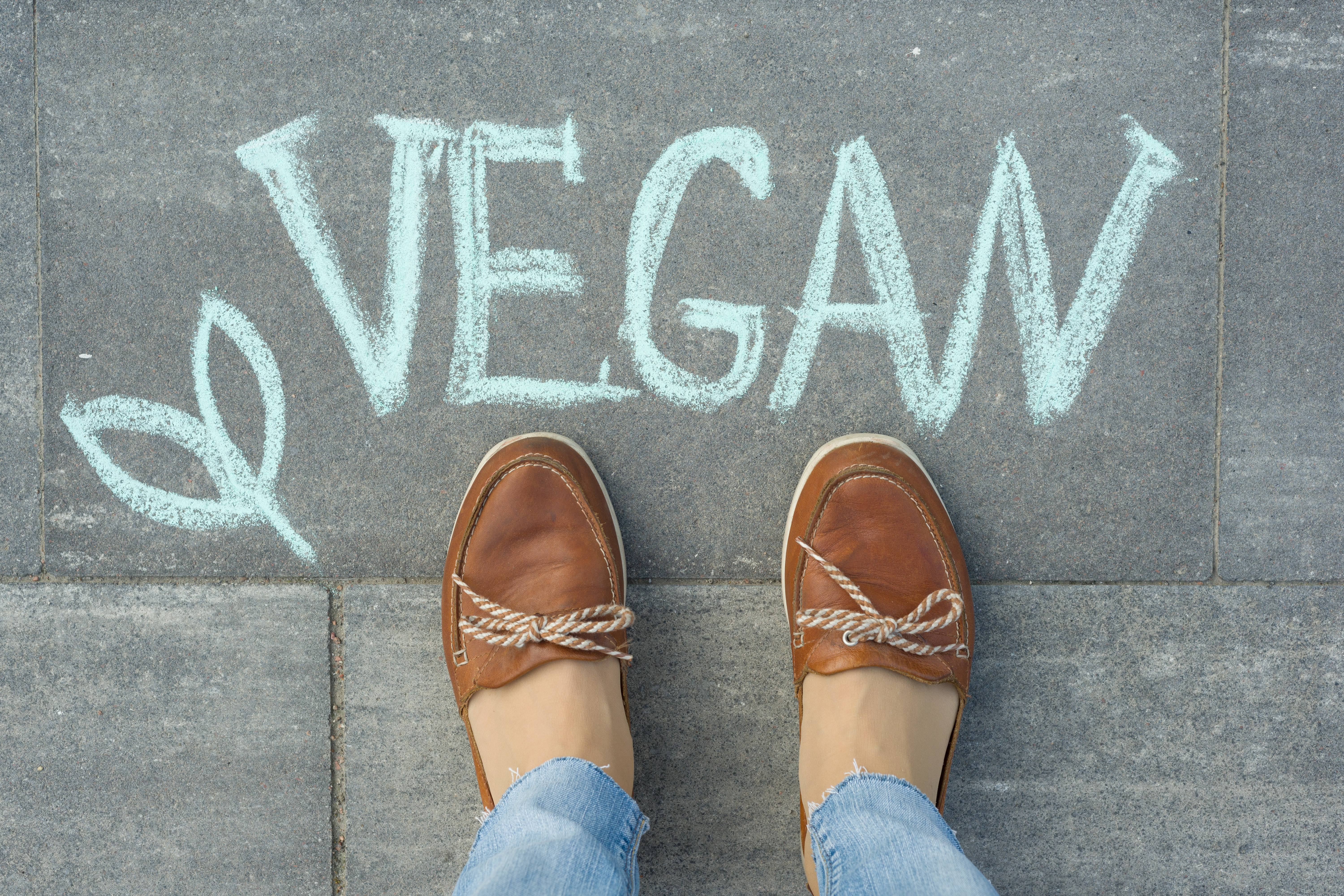 Veganska skor