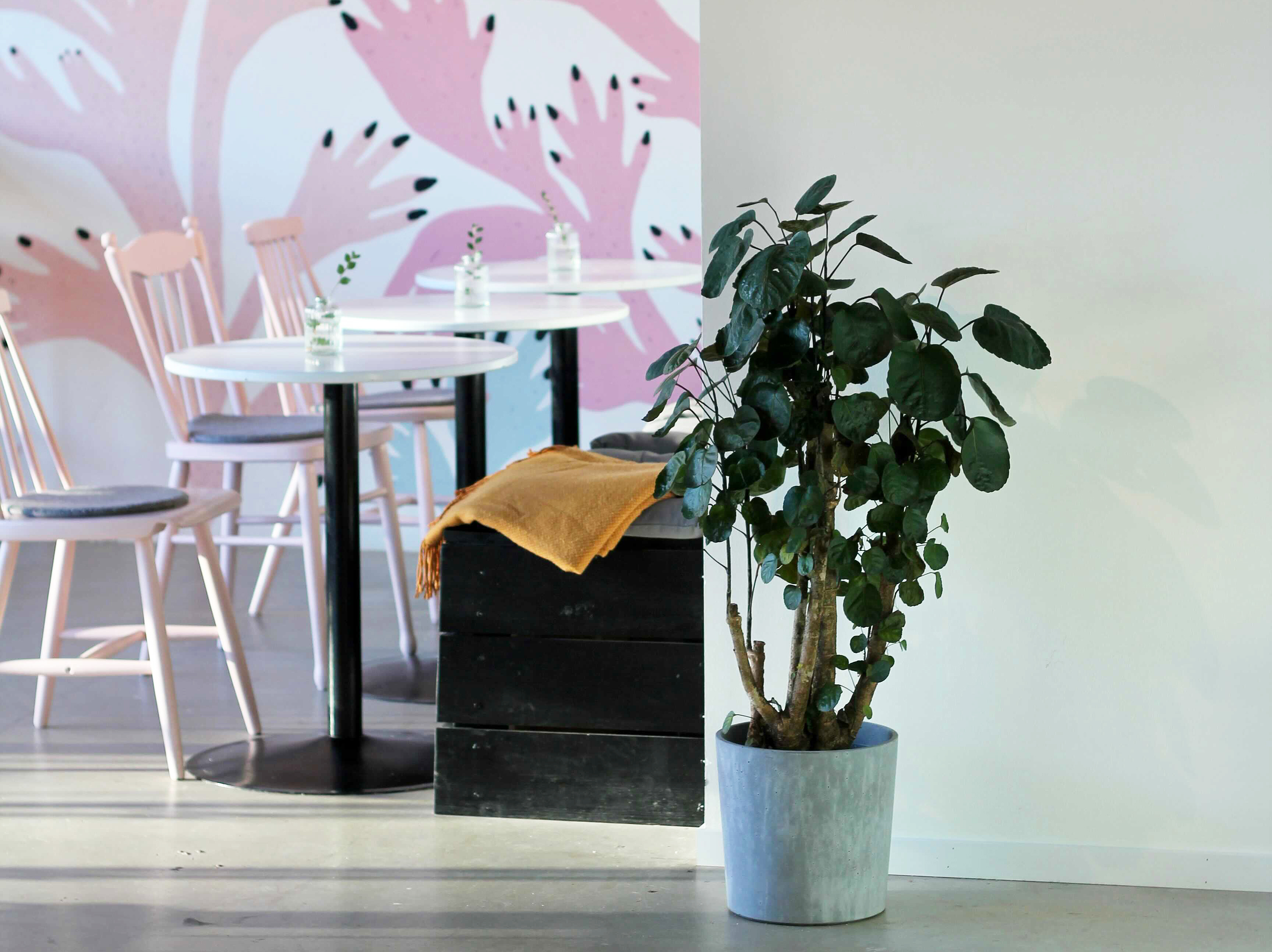 Inomhusmiljön på Slow Hands Café, men vägg målad av illustratören Cajsa Wessberg i bakgrunden.
