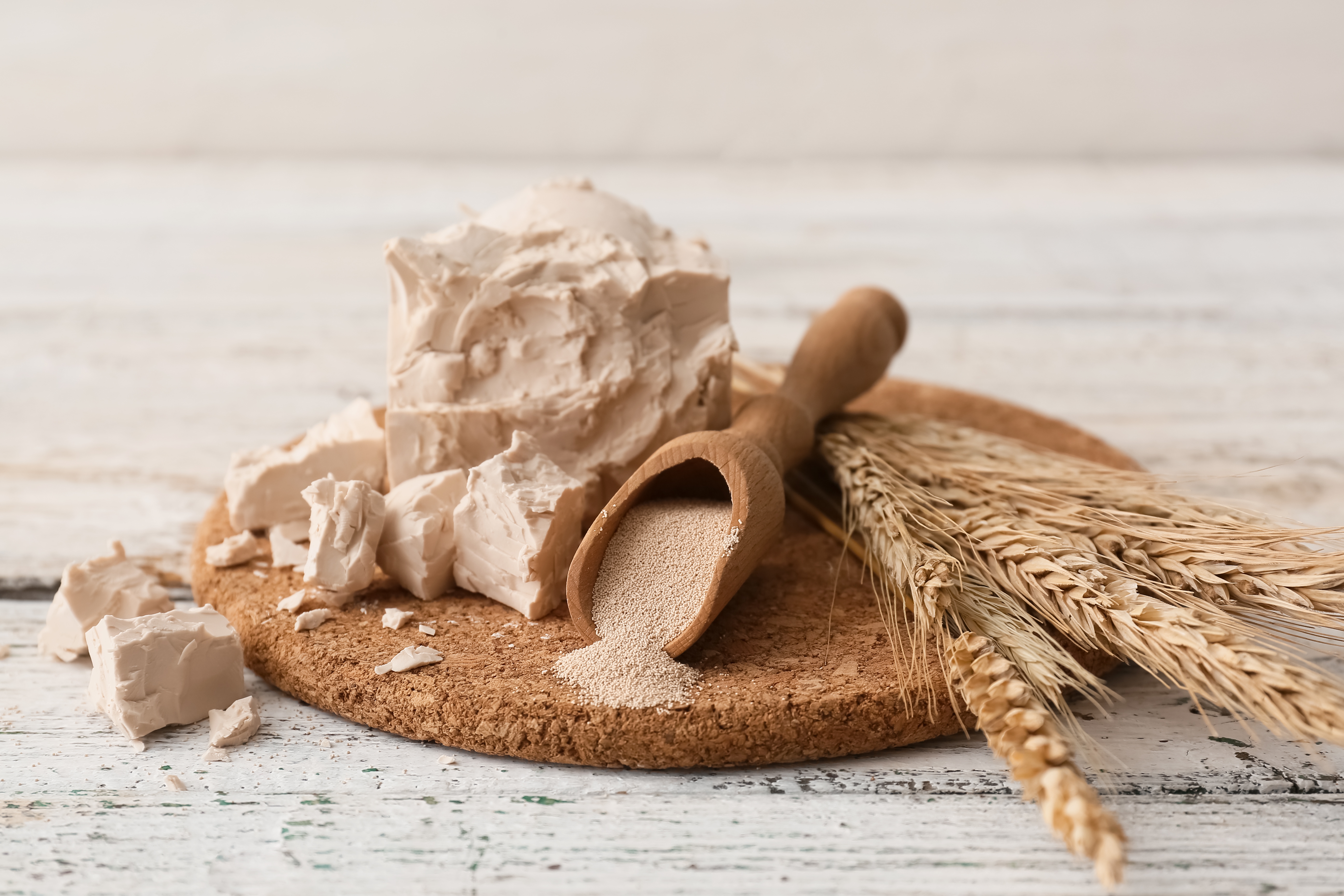 Board with fresh and dry yeast on light wooden background