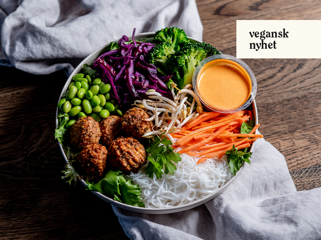 En bild på en vegansk buddha bowl tagen uppifrån