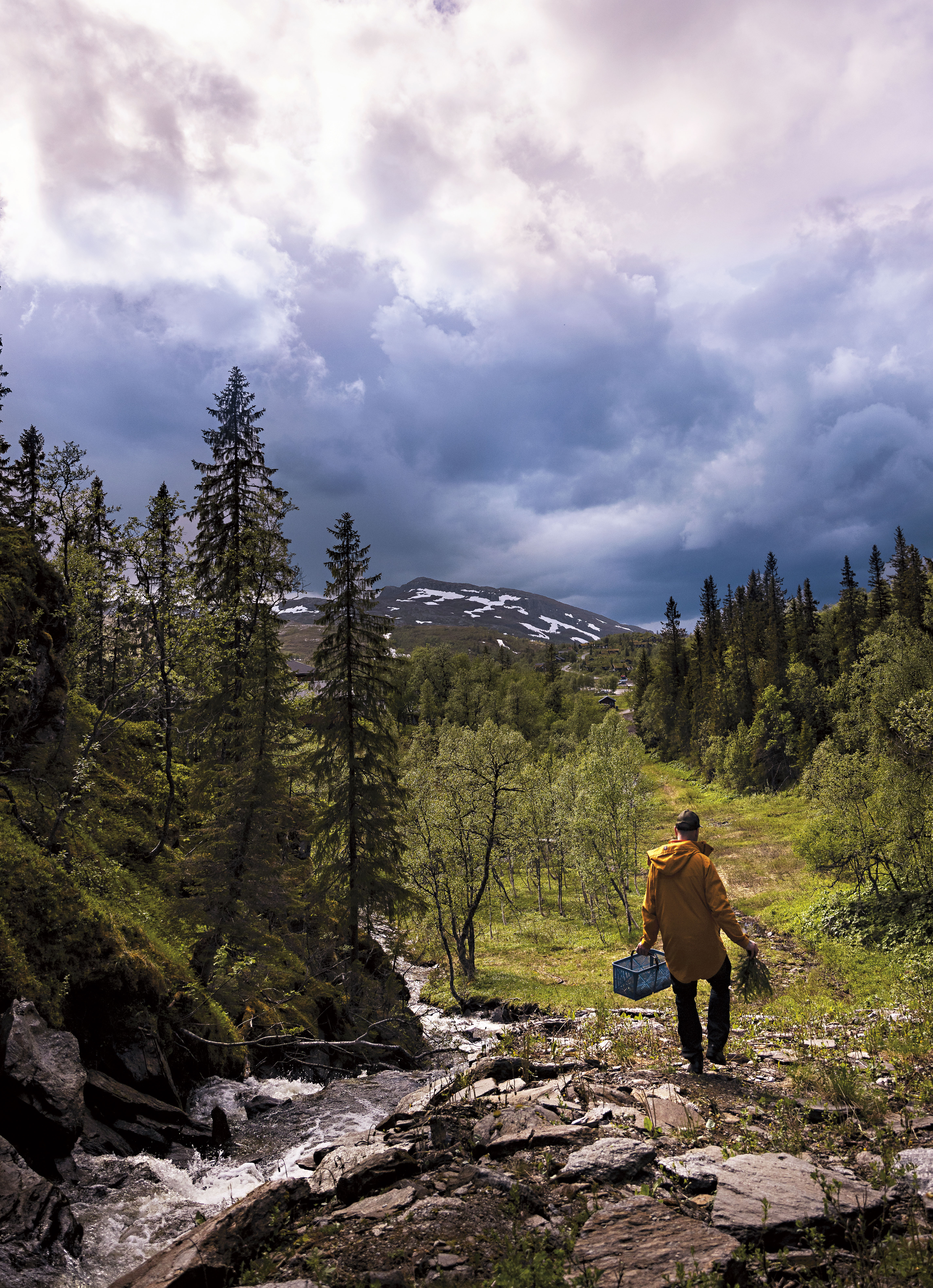 En man som går med en korg i handen i en skog