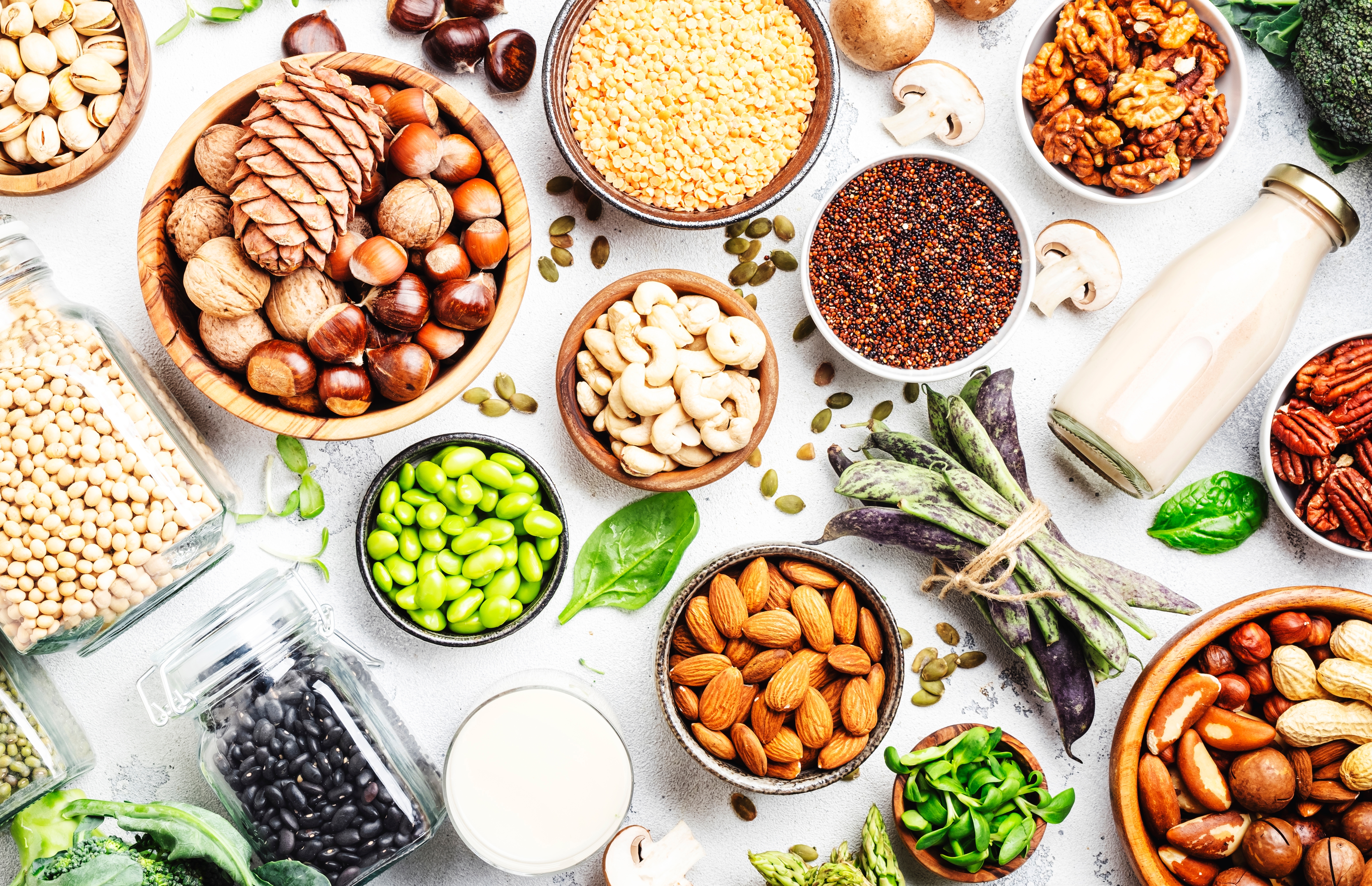 Vegan protein. Full set of plant based vegetarian food sources. Healthy eating, diet ingredients: legumes, beans, lentils, nuts, soy and almond milk, tofu, quinoa, chia, vegetables, spinach, seeds