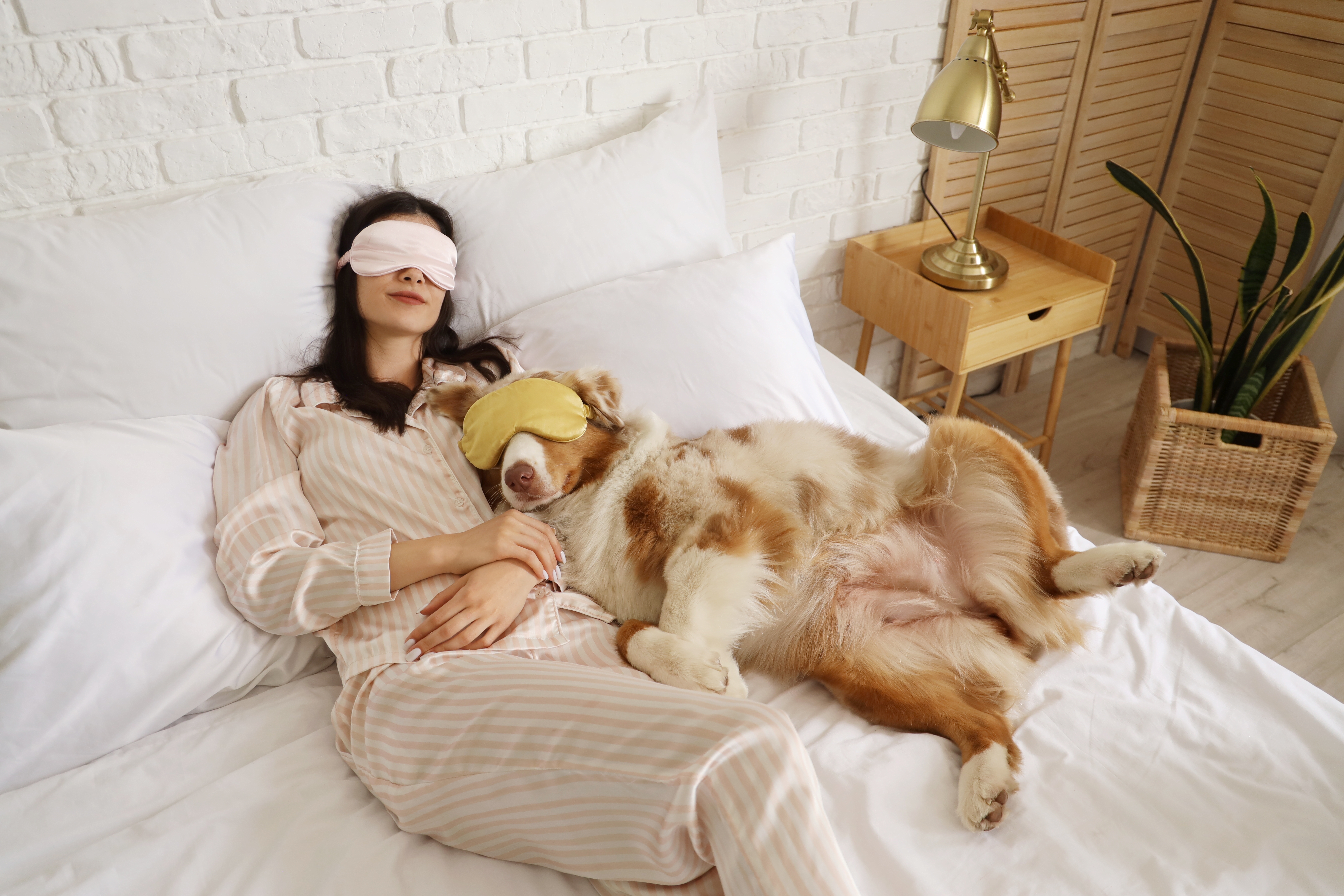 Kvinna som sover med sin hund och båda använder ögonmask