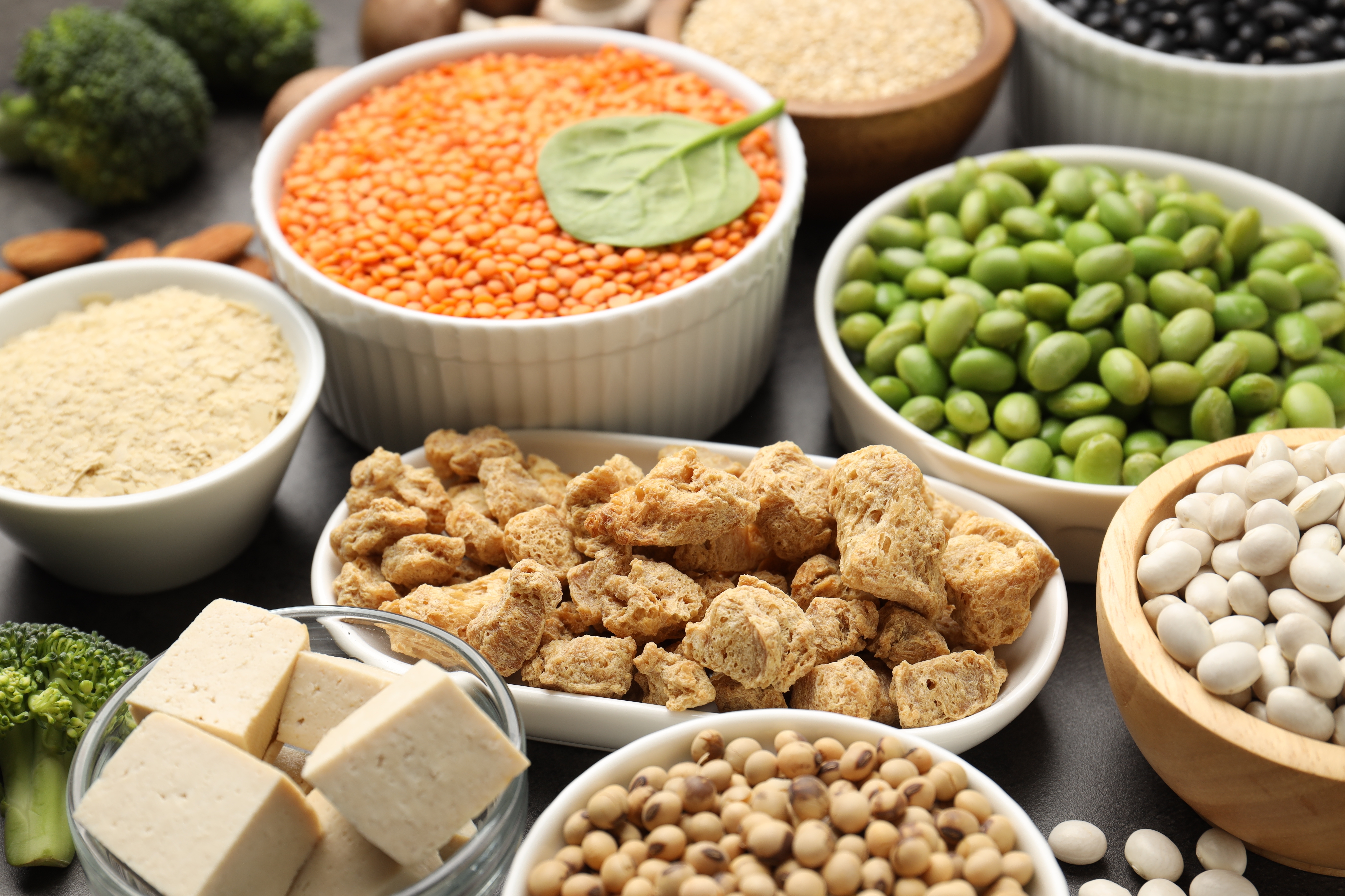 Olika veganska produkter på grått bord, närbild. Proteinkälla