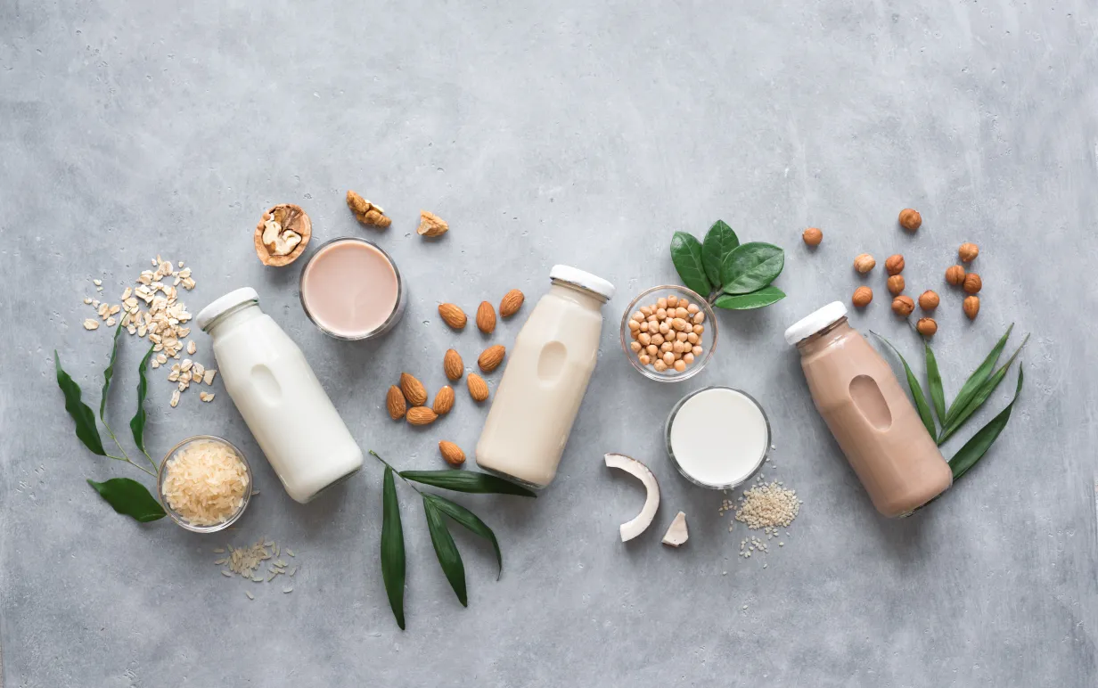 Veganska mjölkdrycker av olika spannmål, nötter och frön