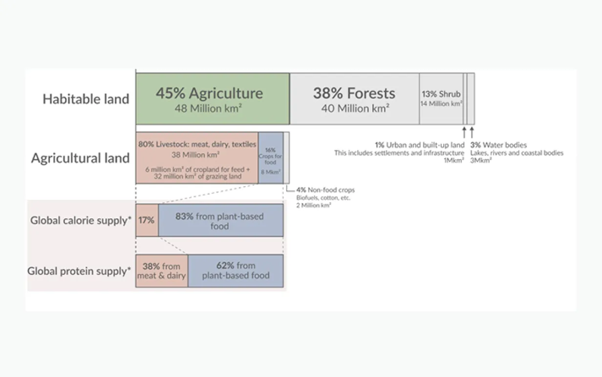 Land use